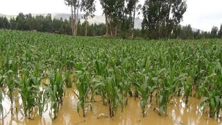 FAO: la agricultura perdió US$ 280,000 millones en una década por desastres naturales