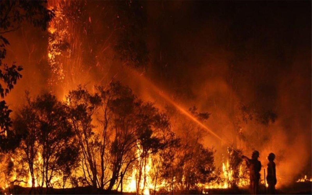 En Australia Occidental ardían el domingo más de 20 incendios forestales, según informó en su página web la agencia estatal de servicios de emergencia. (Foto: difusión)