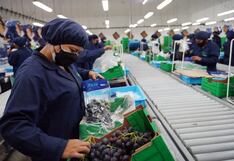 Perú suma 3,725 empresas exportadoras tras crecer 5.3% en enero