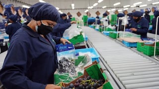 Perú suma 3,725 empresas exportadoras tras crecer 5.3% en enero