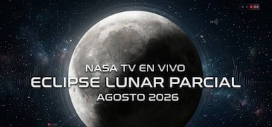 Noticias Sugeridas