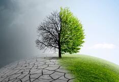 La “bala de plata” para la Sostenibilidad: cómo reaccionar ante lo urgente