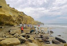 Petroperú: OEFA dicta medidas administrativas a petrolera por derrame de petróleo