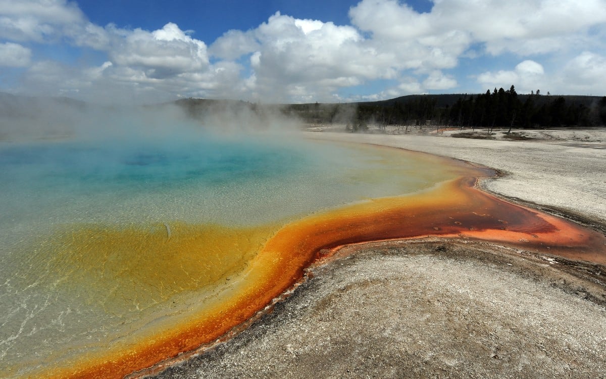 Investigadores detectaron la presencia de la ameba Naegleria fowleri, conocida como “comecerebros”, en varios parques nacionales populares de Estados Unidos. (Foto por MARK RALSTON / AFP)