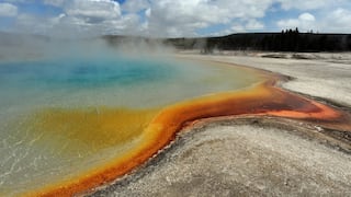 Yellowstone y Grand Teton bajo la lupa: detectan mortal ameba “comecerebros” en zonas de aguas termales