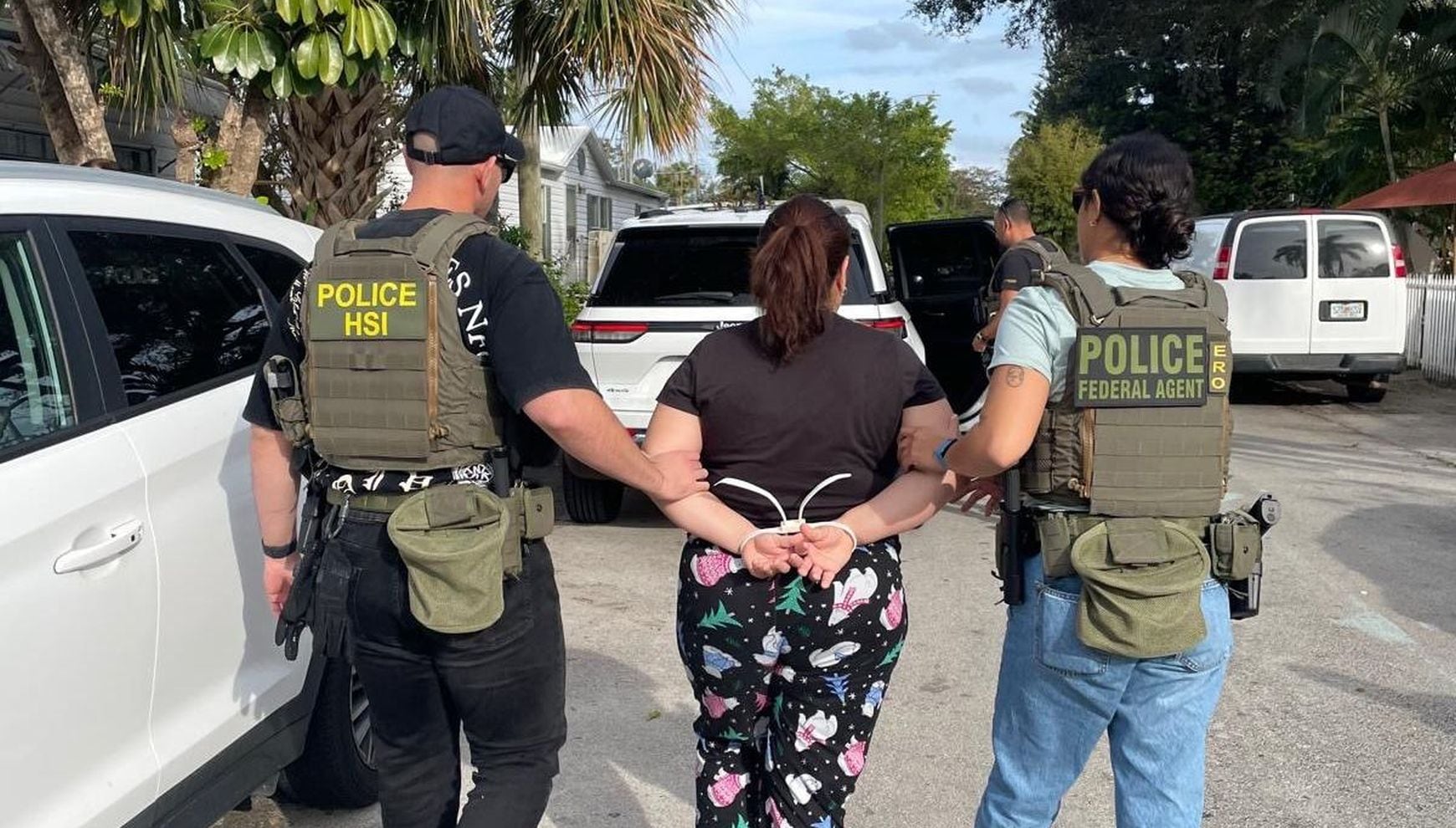 Las redadas en varias ciudades estadounidenses tiene como resultado la detención de miles de extranjeros ilegales (Foto: HSI Miami / X)