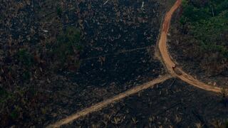 Brasil suspende permisos para explorar oro en áreas preservadas de Amazonía