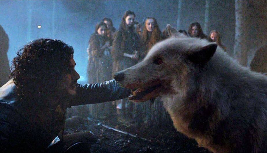 En la serie de HBO, el lobo huargo es una criatura legendaria de gran tamaño y muy fuerte, que además es el emblema de la Casa Stark, a la que pertenece Jon Snow. (Foto: HBO)