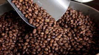 Hasta julio se espera recolectar cerca de 220,000 toneladas de café verde en Perú