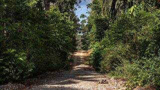 Impulsan proyecto para que comunidades tengan derecho a propiedad del suelo y subsuelo