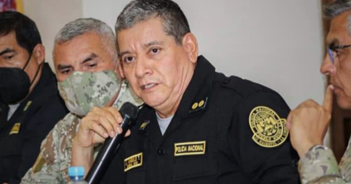 Jorge Ángulo, gerente de la PNP, espera no enfocarse netamente en las manifestaciones de Lima, sino en la inseguridad ciudadana en general. Foto: El Peruano