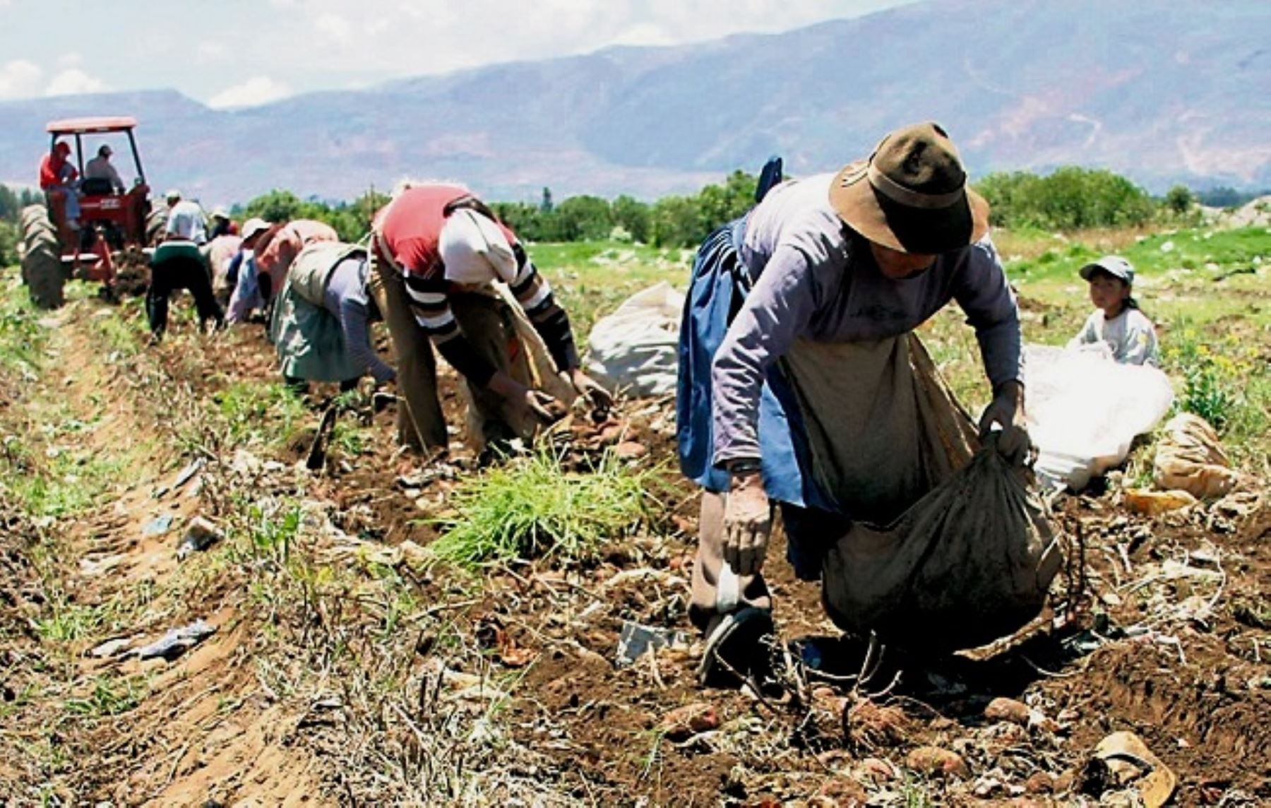 Las cooperativas tienen mayor alcance en zonas rurales. (Foto: Andina)