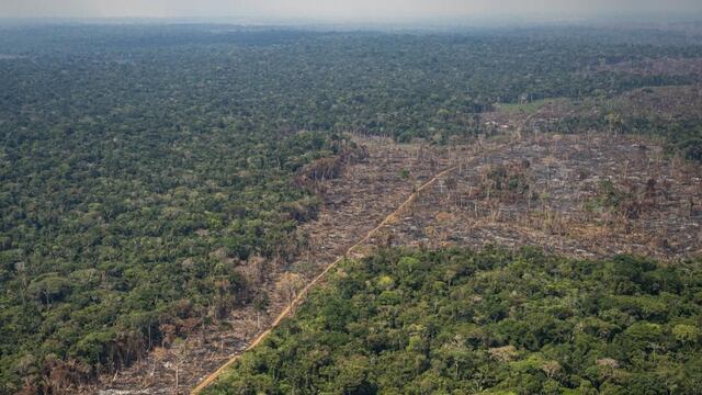 Colombia: autoridades anuncian acuerdo para frenar delitos ambientales en la Amazonía