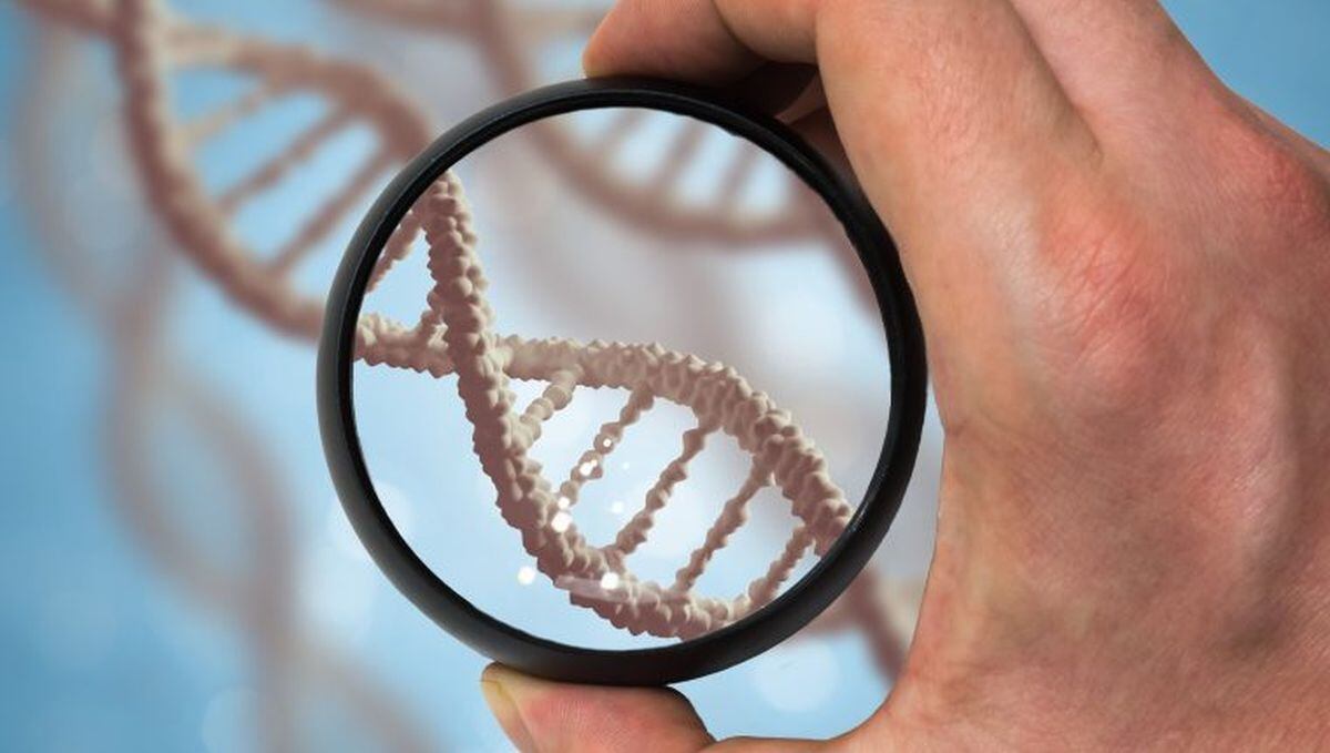 En México hay 8 millones de personas con enfermedades raras, según cálculos de la Universidad Nacional Autónoma de México (UNAM).(Foto: difusión)