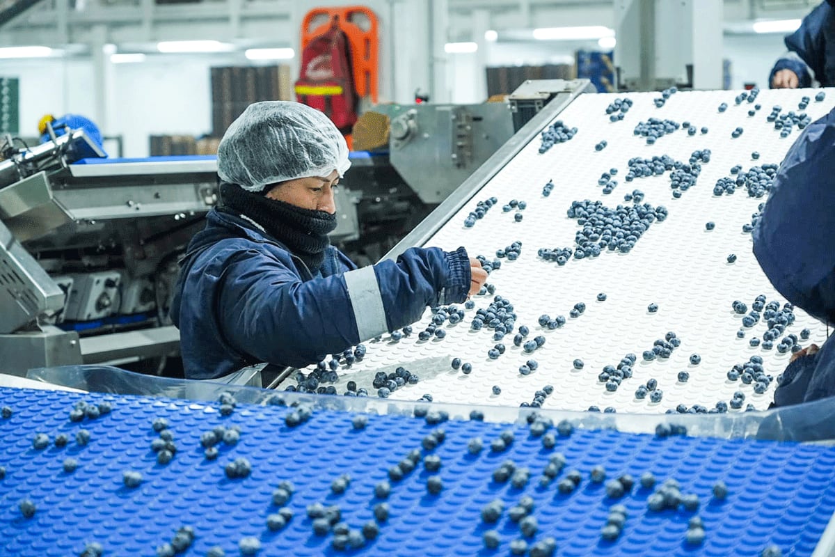 ¿Cuáles son las novedades sobre el empleo en Perú? (Foto: Andina)