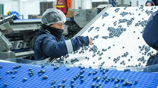 Empleo en Perú creció en casi todos los sectores, ¿cuál fue la excepción?