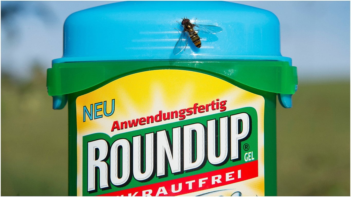 La Corte Suprema de Estados Unidos falló el jueves a favor del gigante alemán Bayer, que pretende anular decenas de miles de demandas por el presunto riesgo de cáncer ligado al herbicida Roundup, de su filial Monsanto.