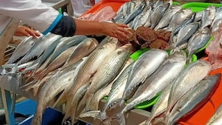 Empresas pesqueras se suman a paro por falta de atención de Produce