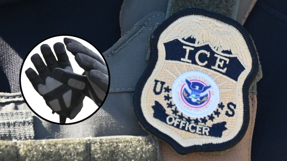 Proyecto de ley en California podría prohibir los guantes de descarga eléctrica de ICE: esto es lo que sabe