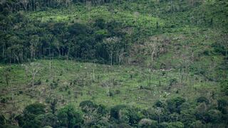 Salto en la deforestación de la mayor sabana del mundo alarma a los científicos brasileños