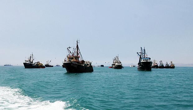 El Ministerio de la Producción dio luz verde al Imarpe para iniciar pesca exploratoria de lorna. (Foto: USI)