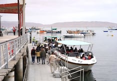 Capitanía de Puerto de Pisco autoriza reapertura de labores turísticas en mar de Paracas