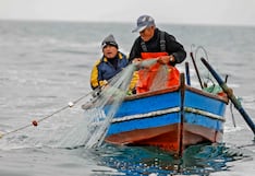 Bono pescador: Produce incorpora a 4,771 pescadores artesanales al padrón
