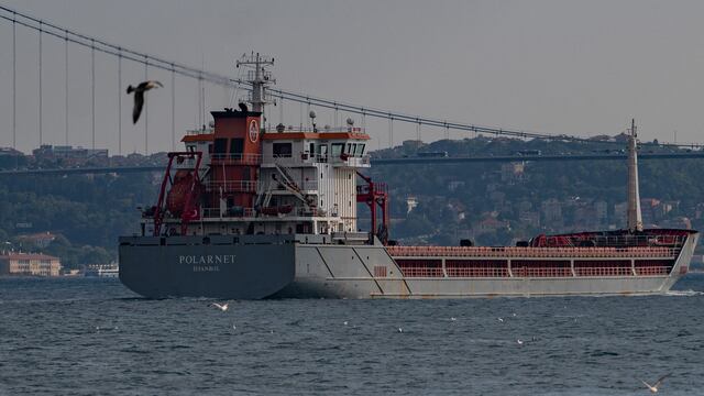 Llega a Turquía el primer buque que transporta cereal ucraniano