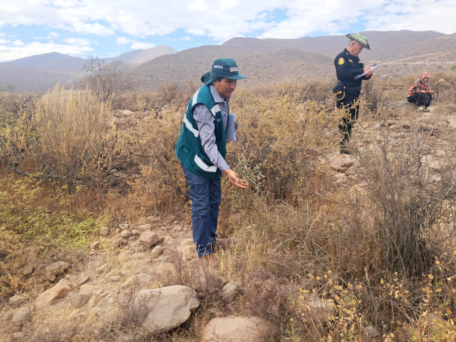 Identifican puntos críticos y preparan intervenciones conjuntas con la Fiscalía Ambiental y la PNP para reforzar el control de recursos forestales y fauna silvestre. Foto: SErfor