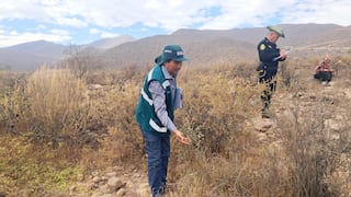 Serfor articula operativos contra la tala y el tráfico ilegal de flora y fauna silvestre en Piura