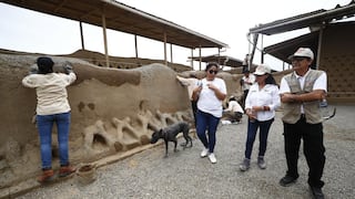 Chan Chan: Ministerio de Cultura retira instalaciones precarias ubicadas dentro de la zona intangible