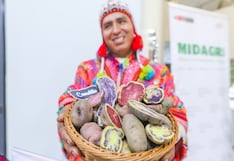 Papa peruana gana terreno en el exterior con envíos a 13 países y crecimiento de 19%