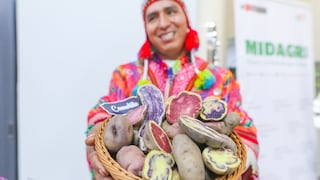 Papa peruana gana terreno en el exterior con envíos a 13 países y crecimiento de 19%