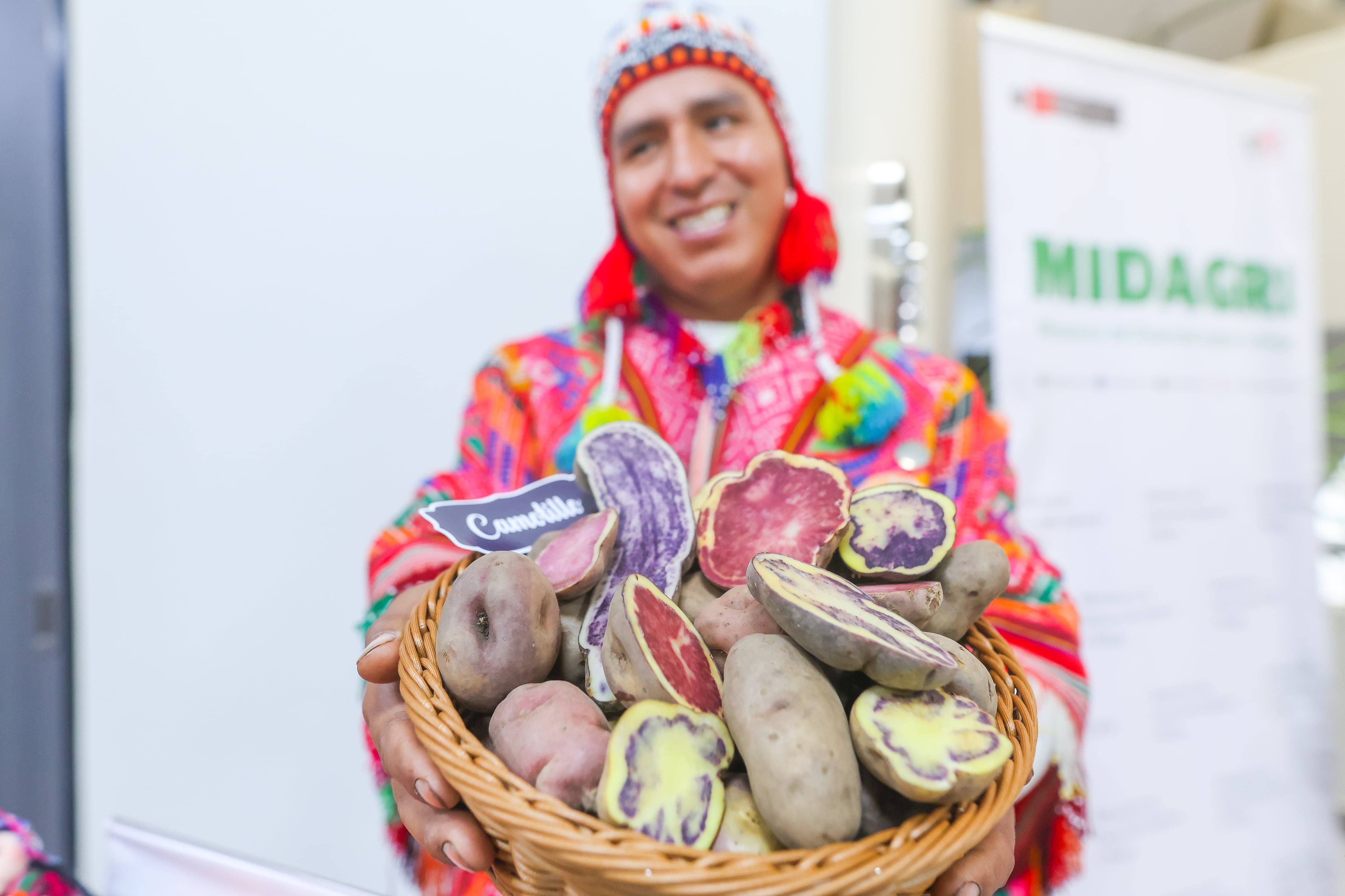 Exportaciones de papa peruana crecieron 19% y llegaron a 13 mercados internacionales | Foto: Midagri