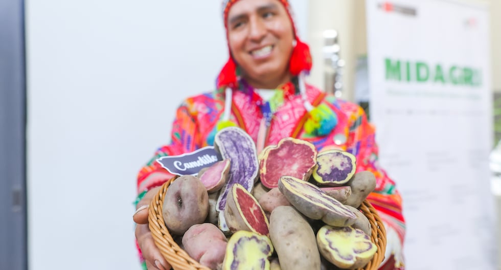Exportaciones de papa peruana crecen 19% en 2025