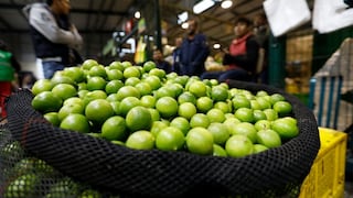 Mercados mayoristas cubren demanda de alimentos, pero precio del limón sigue al alza