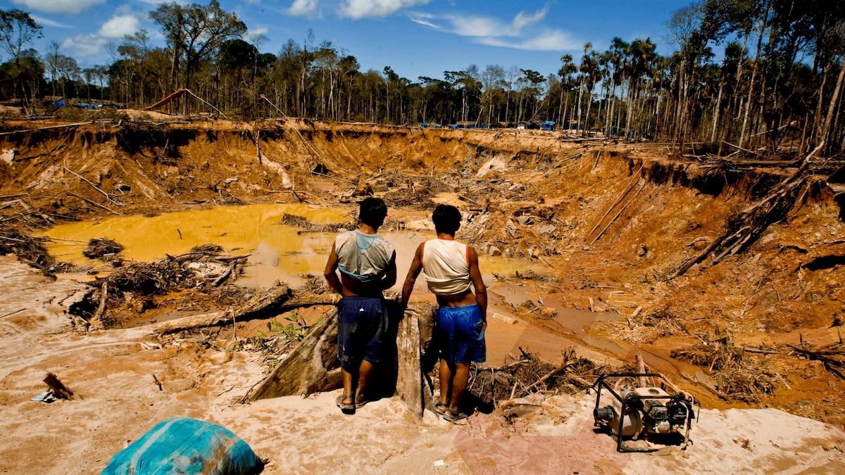 Reinfo es considerado una apertura a la minería ilegal. | Foto: gob.pe