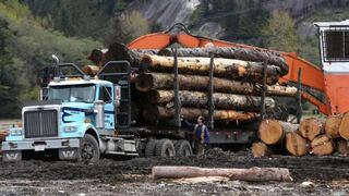 Trump inicia guerra comercial con Canadá por la importación de madera