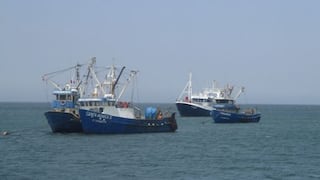 SNI denuncia que empresas pesqueras capturan anchoveta para plantas ilegales