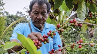 Restricciones de la UE a la agroexportación: ¿Cuánto avanzó el Perú para evitarlas?