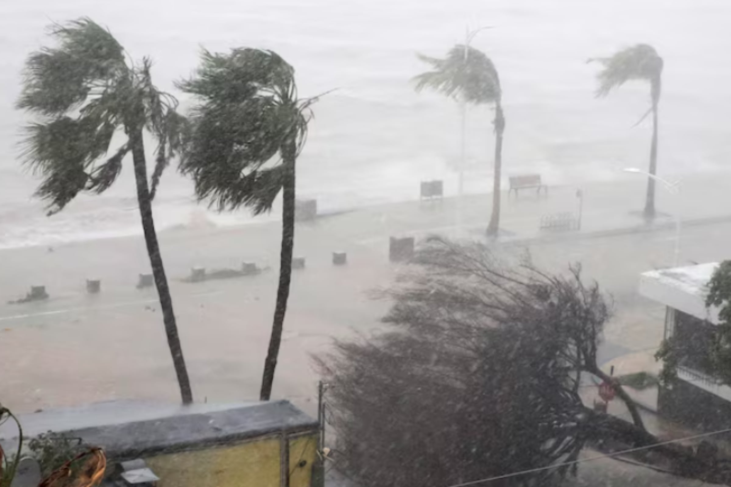 Este evento traería lluvias torrenciales, fuertes vientos e inundaciones, especialmente en las zonas costeras. (Crédito: Magnific / Imagen referencial)