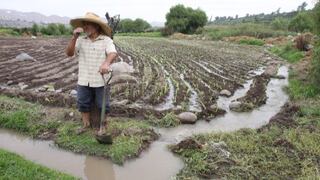 Niño Costero: otorgarán bono de descuento a los productores agropecuarios afectados