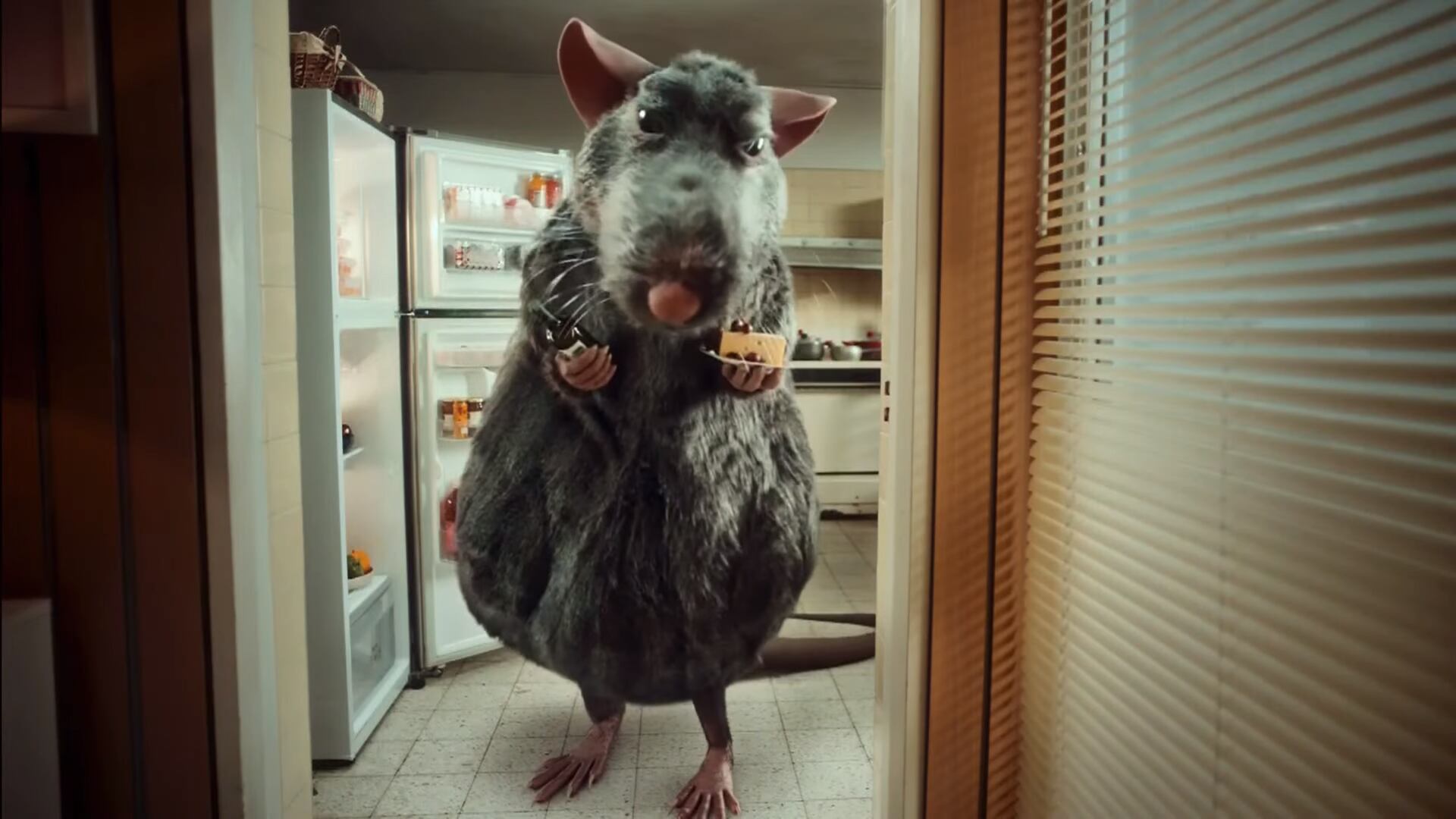 Abogado de Win señala que resolución apoya el uso del humor en las publicidades (Publicidad de WIN / Captura de pantalla de Youtube)