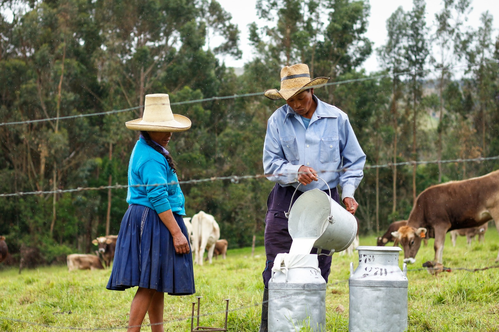 SENASA es una entidad que protege al país del ingreso de plagas y enfermedades para conservar la fauna. Foto: SENASA