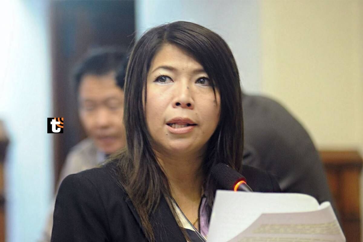 JNE deja sin efecto la credencial otorgada a María del Pilar Cordero Jon Tay como congresista.