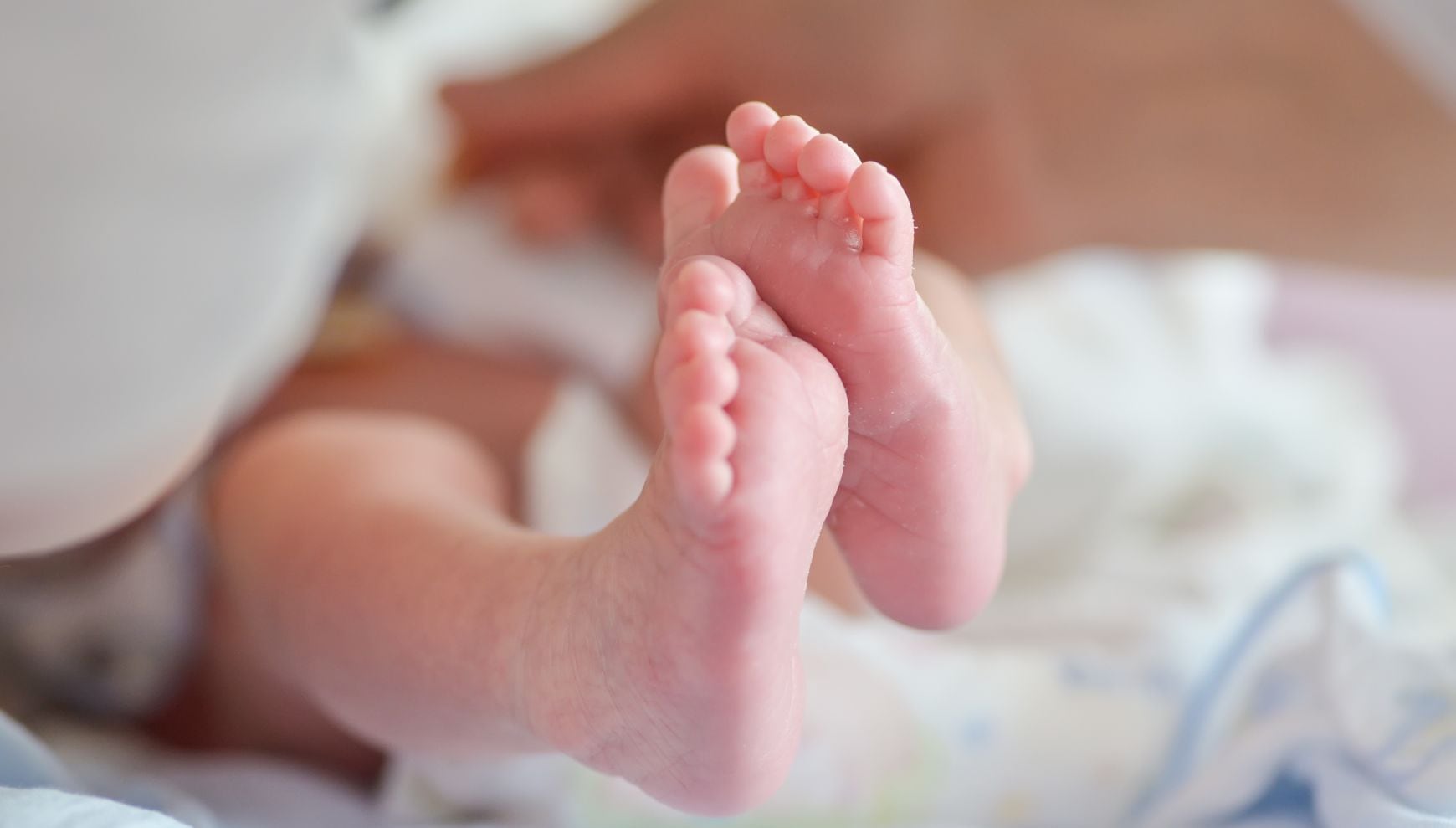 Si estás interesado en las Cuentas Trump para tu hijo, presta atención a la información que acompañará su tarjeta del Seguro Social (Foto: Magnific)
