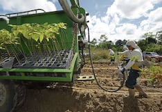 Congreso: buscan nueva regulación laboral en el agro, ¿qué cambiaría?