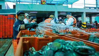 Produce impulsa la acuicultura y autoriza extracción en una reserva natural: ¿de qué se trata?