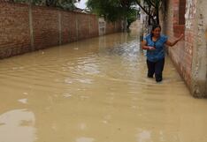 Niño Global: las plagas y riesgos que traerá