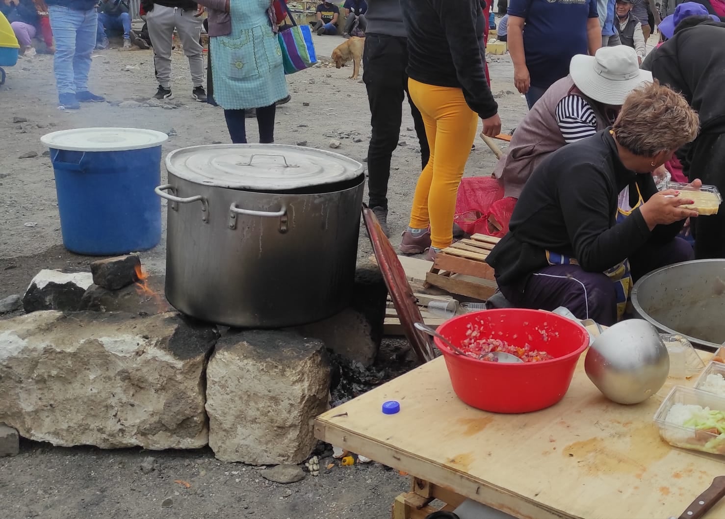 "La ocurrencia conjunta de los shocks de ingresos y precios afectaron la demanda de alimentos y nutrientes de los hogares". (Foto: GEC)
